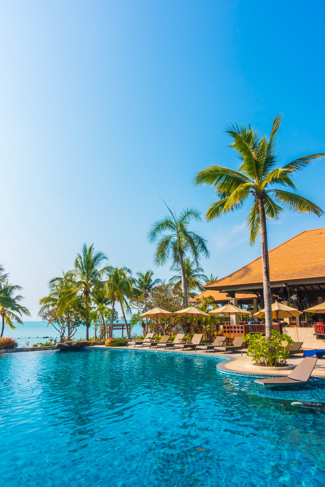 Hotel pool in Cabo San Lucas with lounge chairs, palms and a sea view